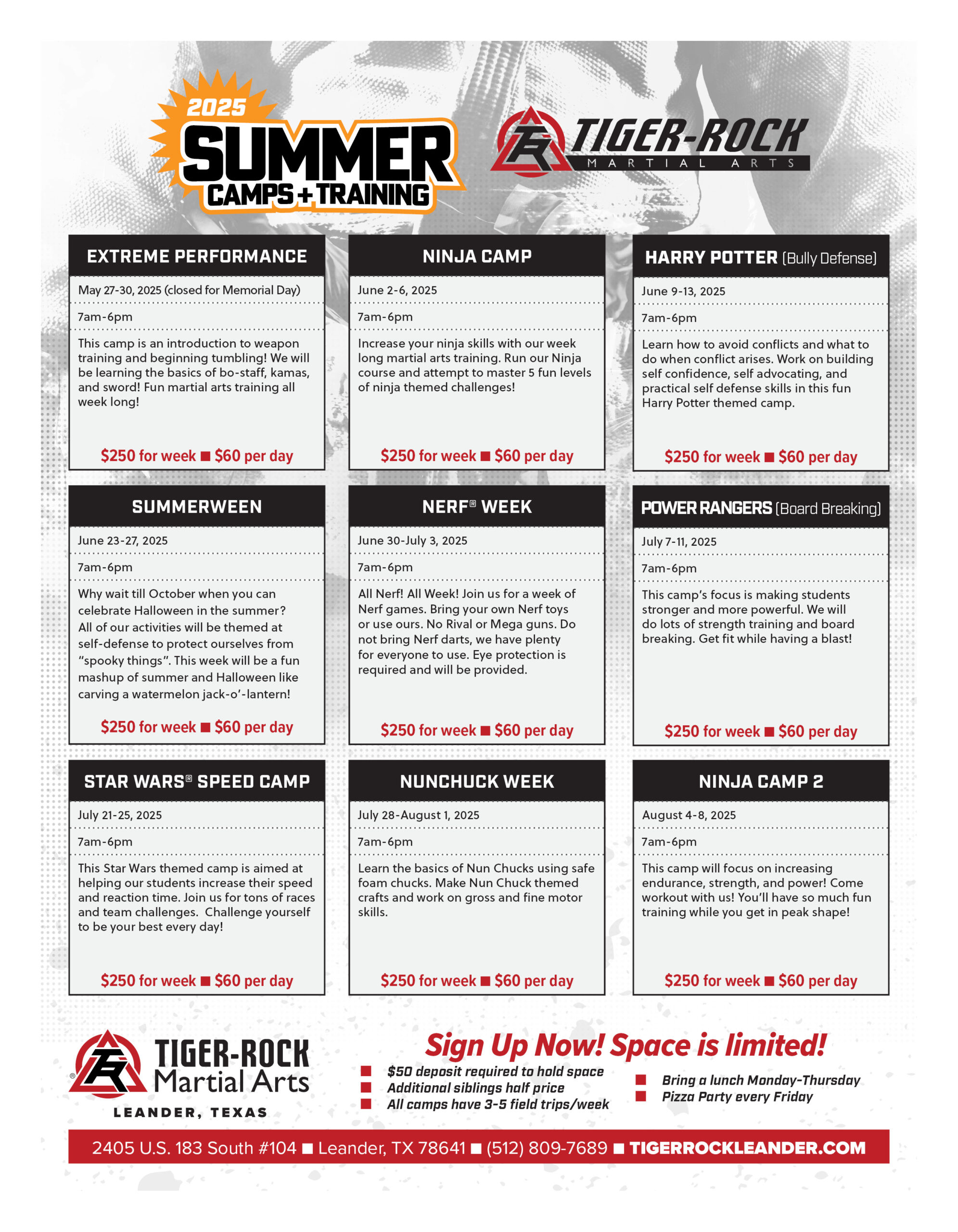 flyer for martial arts summer camp